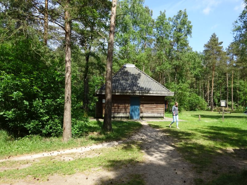 minicamper kamperen kootwijk zanderdennen