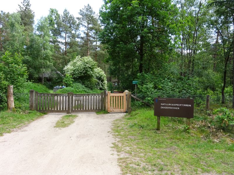 minicamper kamperen kootwijk zanderdennen