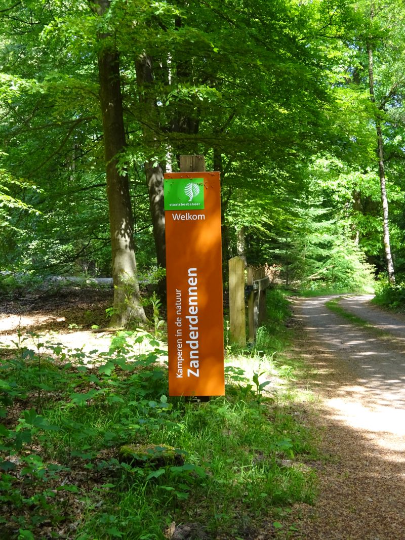 minicamper kamperen kootwijk zanderdennen