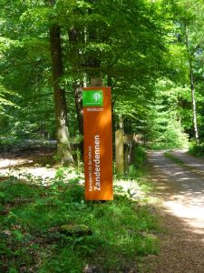 minicamper kamperen kootwijk zanderdennen