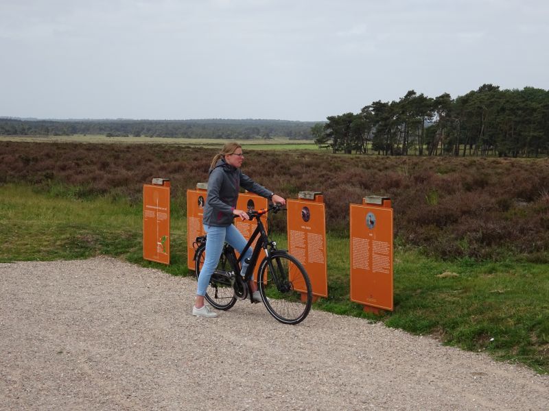minicamper kamperen kootwijk zanderdennen