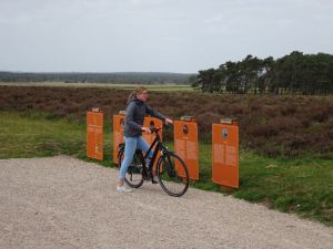 minicamper kamperen kootwijk zanderdennen