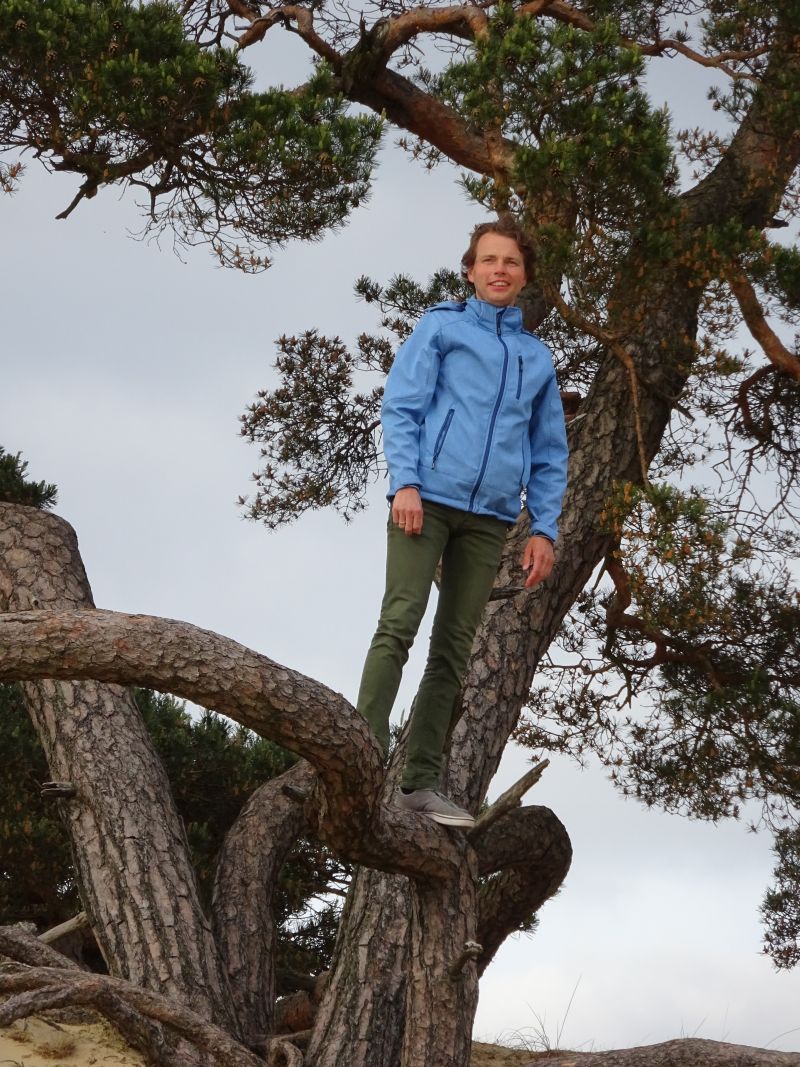 minicamper kamperen kootwijk zanderdennen