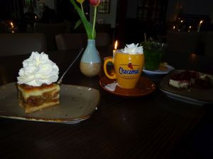 minicamper kamperen kootwijk zanderdennen