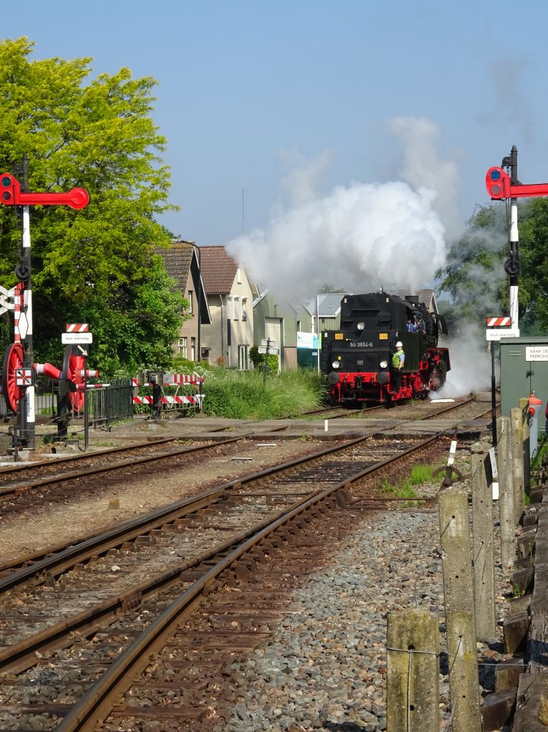 minicamper kamperen kootwijk zanderdennen