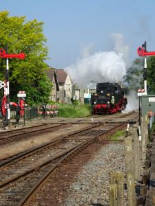 minicamper kamperen kootwijk zanderdennen