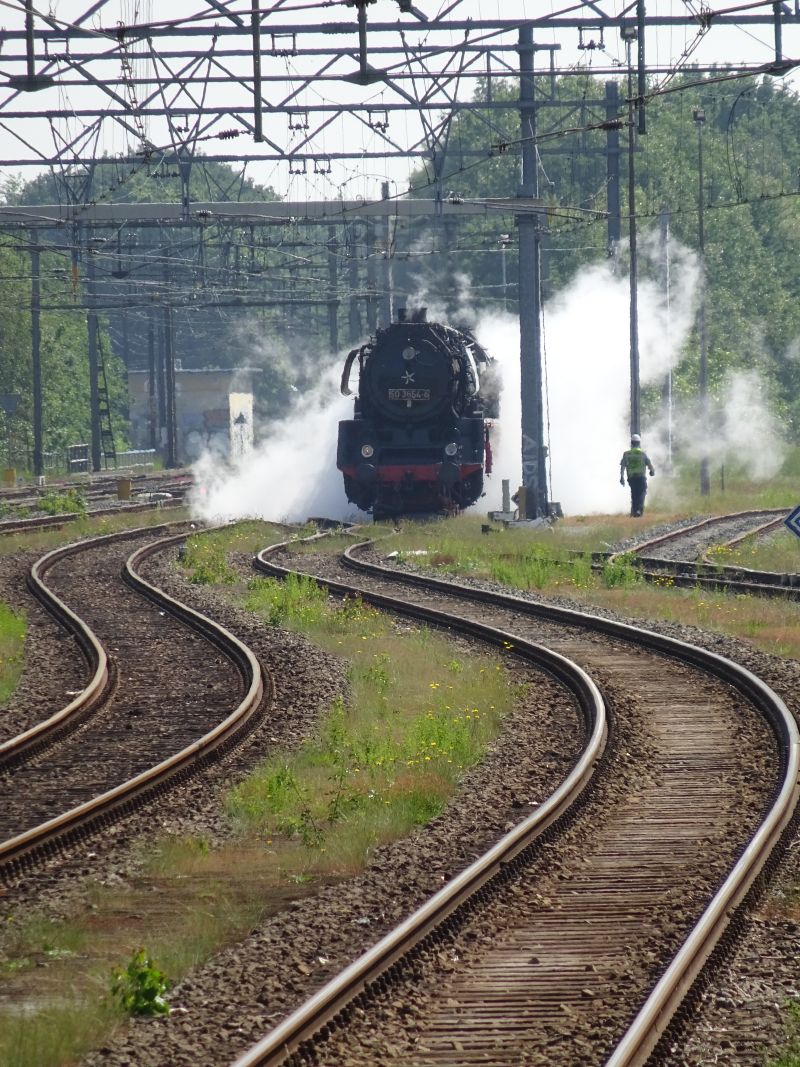 minicamper kamperen kootwijk zanderdennen
