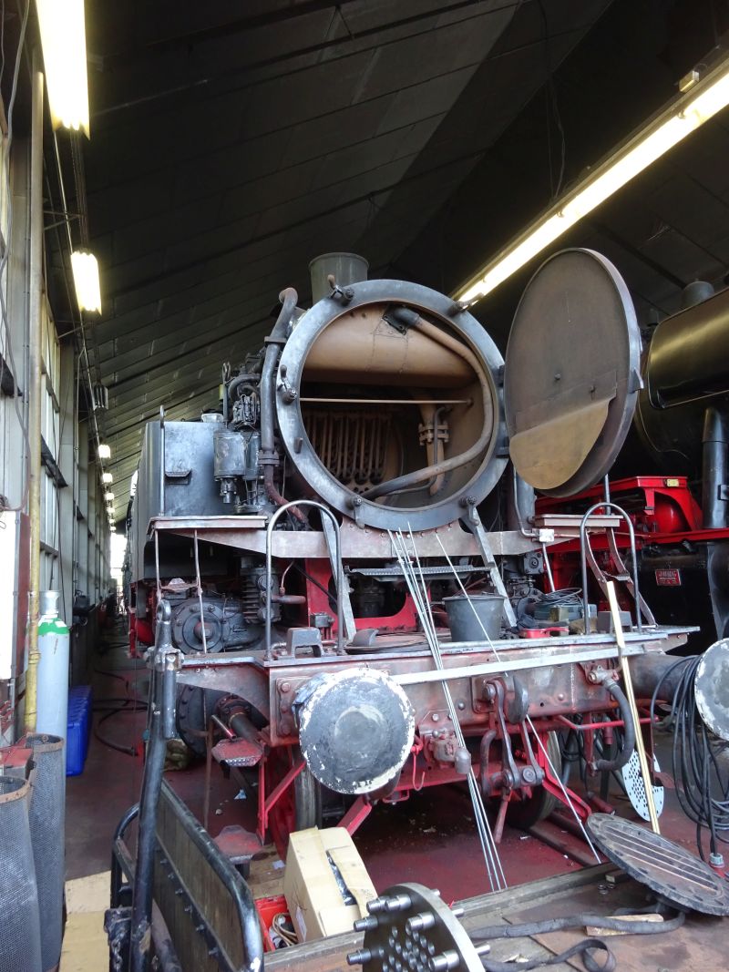 minicamper kamperen kootwijk zanderdennen