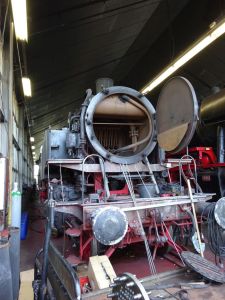 minicamper kamperen kootwijk zanderdennen