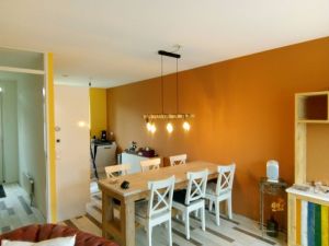 nieuwe huis leek populier minicamper verhuizen