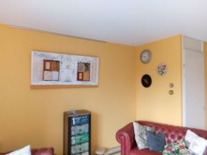 nieuwe huis leek populier minicamper verhuizen