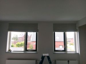 nieuwe huis leek populier minicamper verhuizen