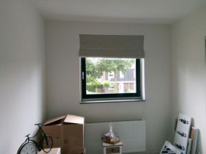 nieuwe huis leek populier minicamper verhuizen