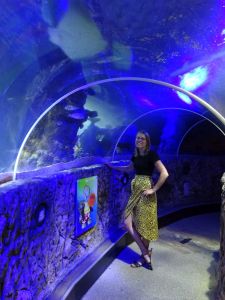 minicamper-blankenberge-zomer2018-01