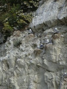 minicamper-sangatte-zomer2018-1-01