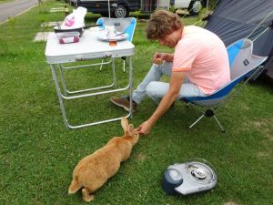 minicamper-sangatte-zomer2018-2-01