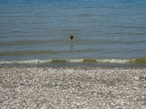 minicamper-zomer2018-saint-jouin-brunaval-2