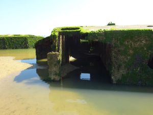 minicamper-zomer2018-tracy-sur-mer